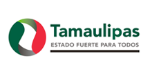 Proyecto para el Gobierno de Tamaulipas